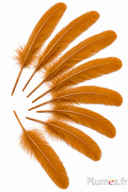 Gans - 15-21 cm - cognac